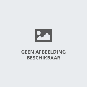 3 Uur begeleiding opblaasbare boarding