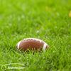Rugbybal huren