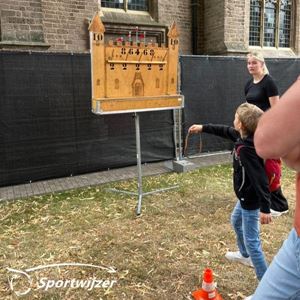 Ringwerpen kasteel