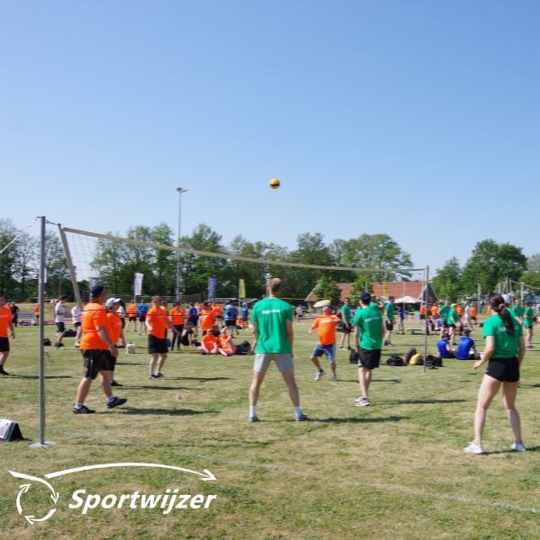 Volleybal installatie